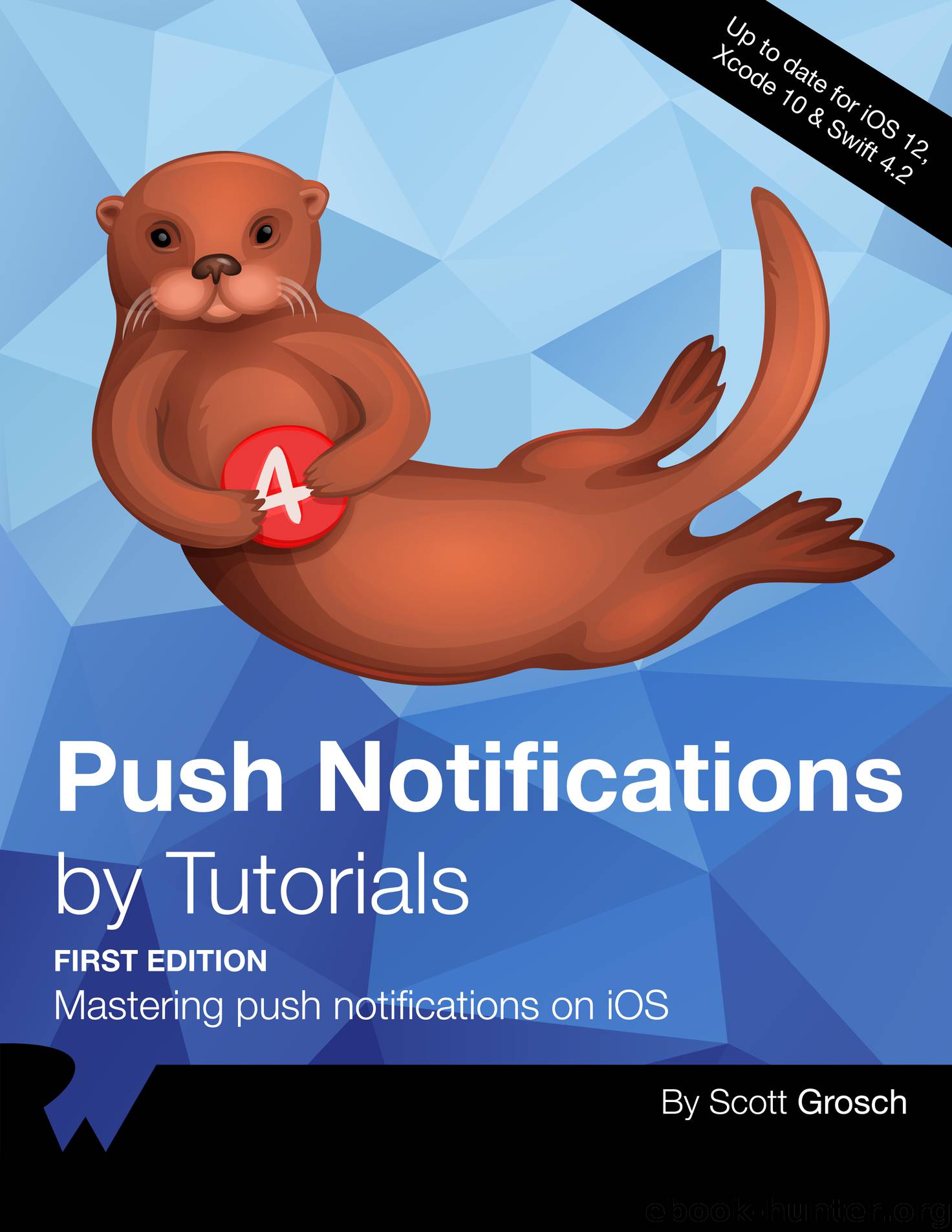 Push Notifications by 2018