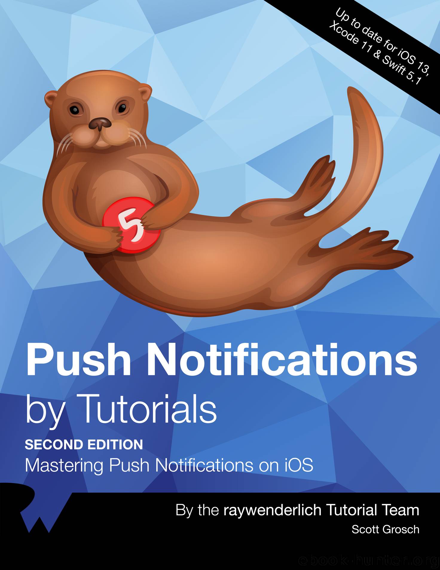 Push Notifications by 2019