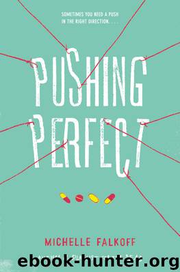 Pushing Perfect by Michelle Falkoff