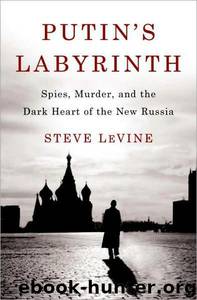 Putin's Labyrinth: Spies, Murder, and the Dark Heart of the New Russia