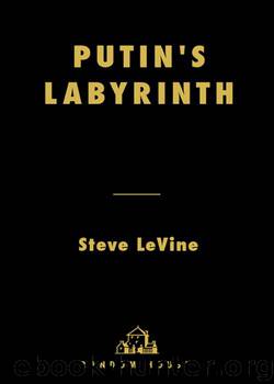 Putin's Labyrinth
