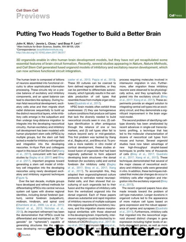 Putting Two Heads Together to Build a Better Brain by John K. Mich & Jennie L. Close & Boaz P. Levi