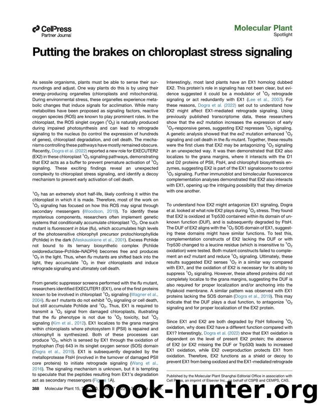 Putting the brakes on chloroplast stress signaling by David W. Tano & Jesse D. Woodson