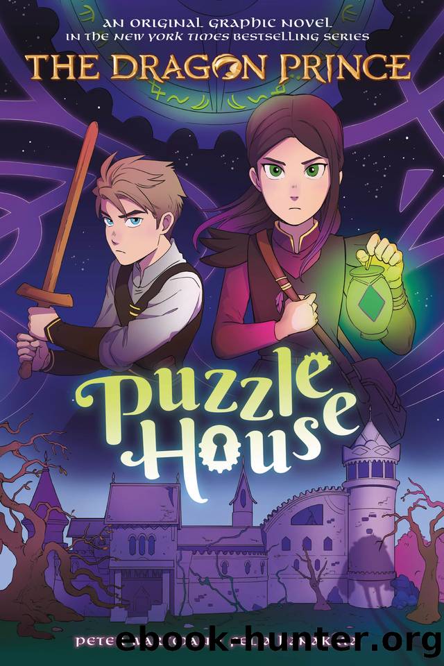 Puzzle House (The Dragon Prince Graphic Novel #3) by Peter Wartman
