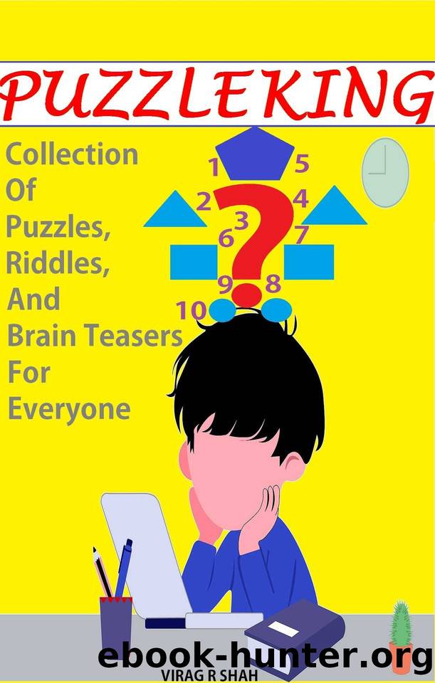 Puzzle King: Collection Of Puzzles, Riddles, And Brain Teasers For Everyone: Puzzle Book For Everybody by VIRAG SHAH