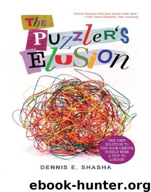 Puzzler&#39;s Elusion by Shasha Dennis