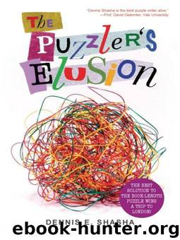 Puzzler's Elusion by Shasha Dennis
