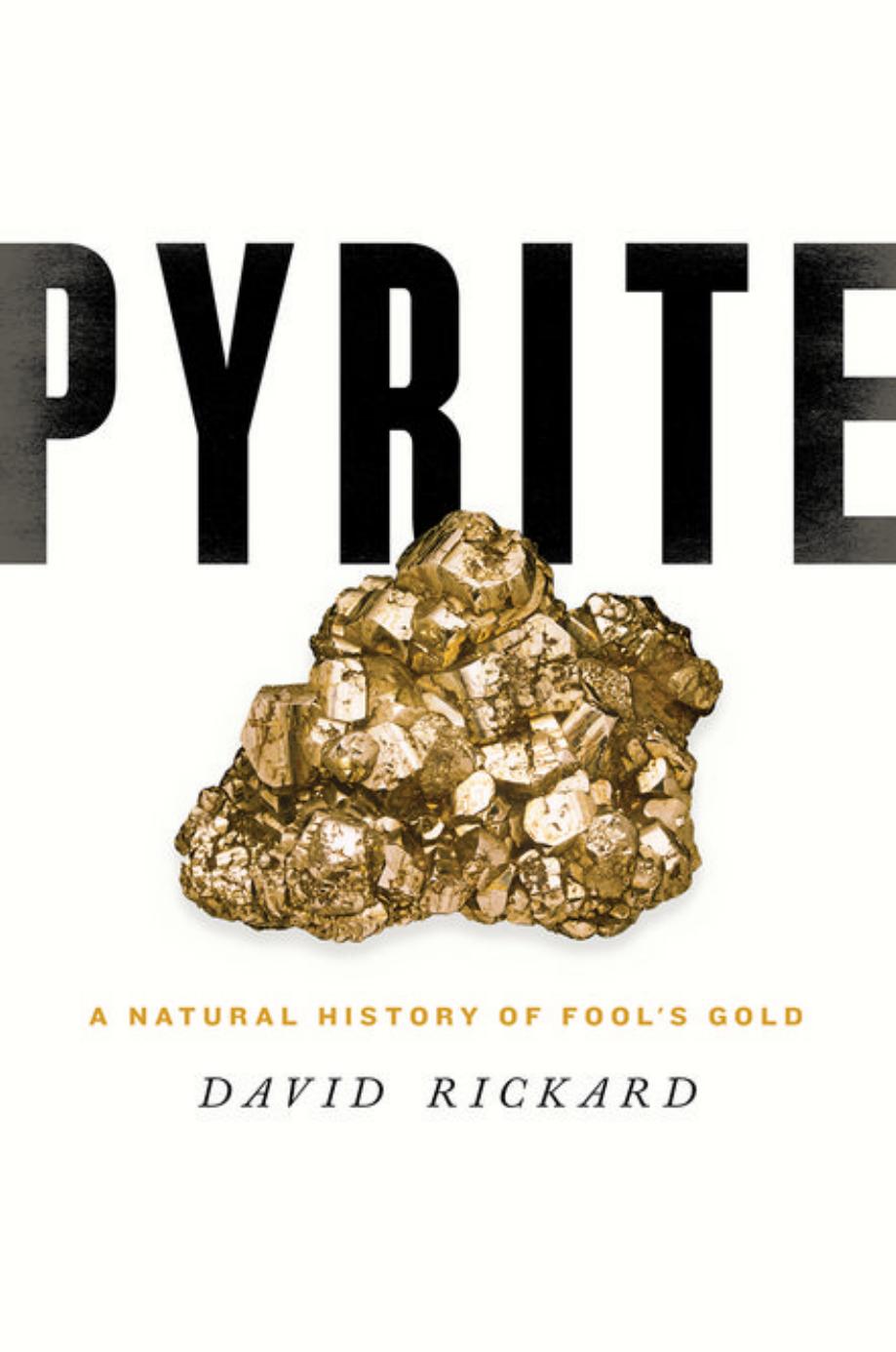 Pyrite: A Natural History of Fool's Gold by David Rickard