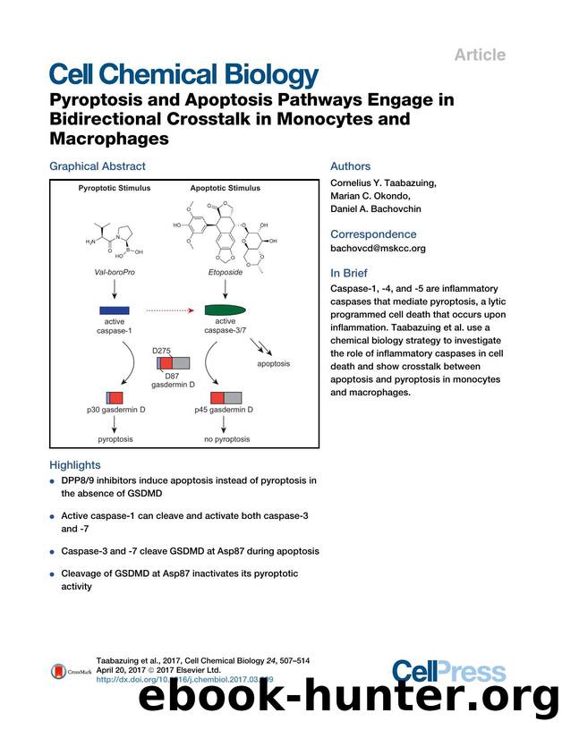 Pyroptosis and Apoptosis Pathways Engage in Bidirectional Crosstalk in Monocytes and Macrophages by Cornelius Y. Taabazuing & Marian C. Okondo & Daniel A. Bachovchin