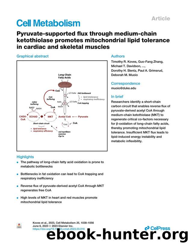 Pyruvate-supported flux through medium-chain ketothiolase promotes mitochondrial lipid tolerance in cardiac and skeletal muscles by unknow