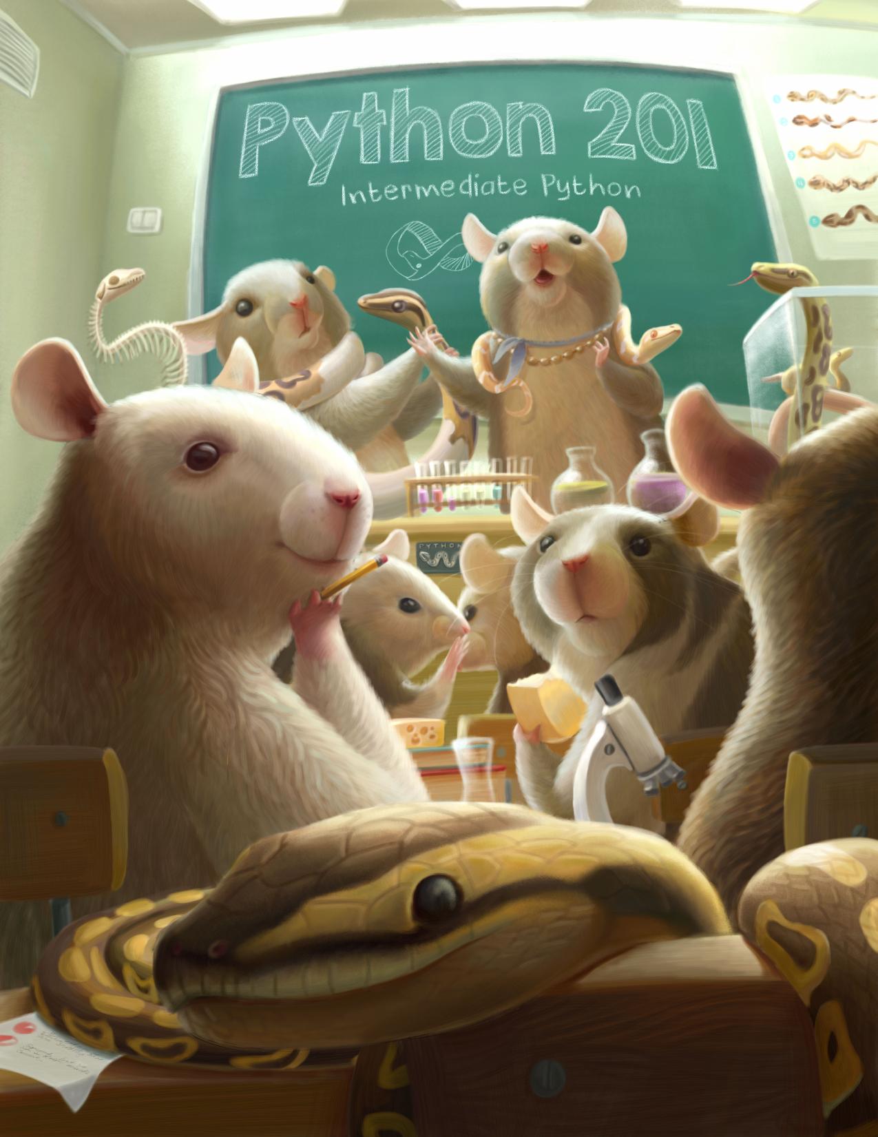 Python 201 by Michael Driscoll