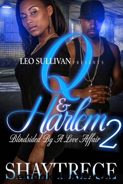 Q & Harlem 2: Blindsided By A Love Affair by Shaytrece