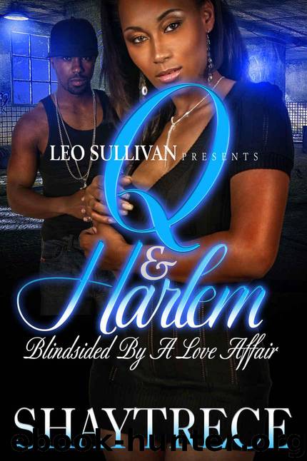 Q & Harlem: Blindsided By A Love Affair by Shaytrece