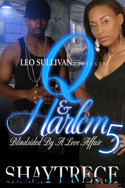 Q and Harlem 5: Blindsided by a Love Affair (Q & Harlem)