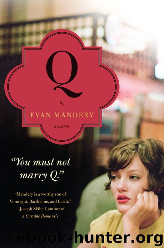 Q: A Novel by Evan Mandery