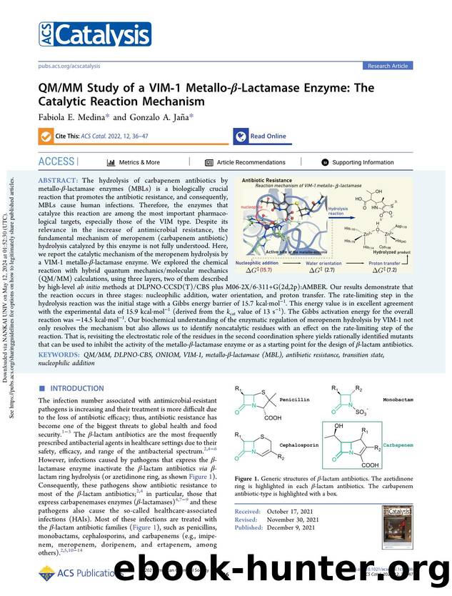 QMMM Study of a VIM-1 Metallo-Î²-Lactamase Enzyme: The Catalytic Reaction Mechanism by Fabiola E. Medina & Gonzalo A. Jaña