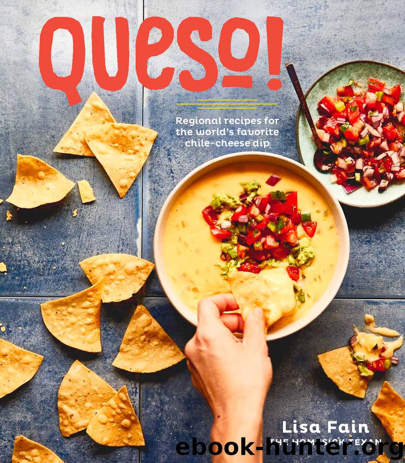 QUESO!: Regional Recipes for the World's Favorite Chile-Cheese Dip by Lisa Fain