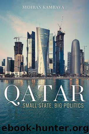 Qatar: Small State, Big Politics by Mehran Kamrava