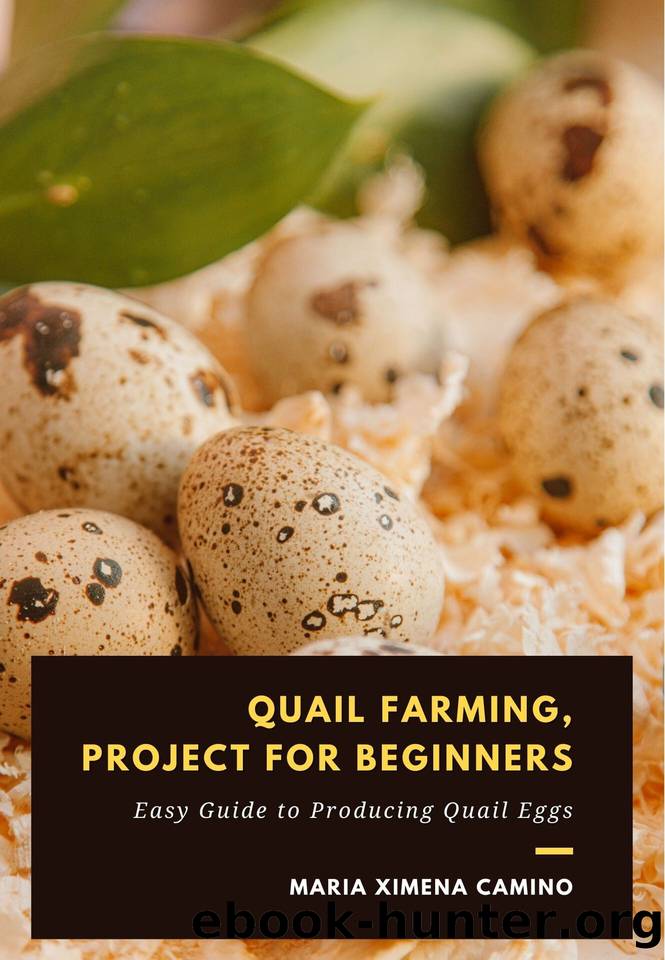 Quail Farming, Project for Beginners: Easy guide to producing quail eggs by Camino Maria Ximena