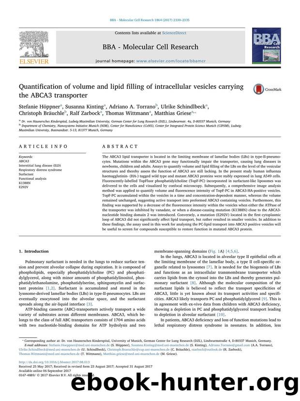 Quantification of volume and lipid filling of intracellular vesicles carrying the ABCA3 transporter by unknow