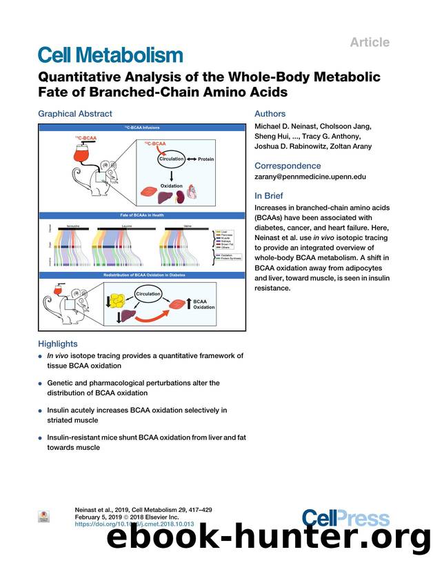 Quantitative Analysis of the Whole-Body Metabolic Fate of Branched-Chain Amino Acids by unknow