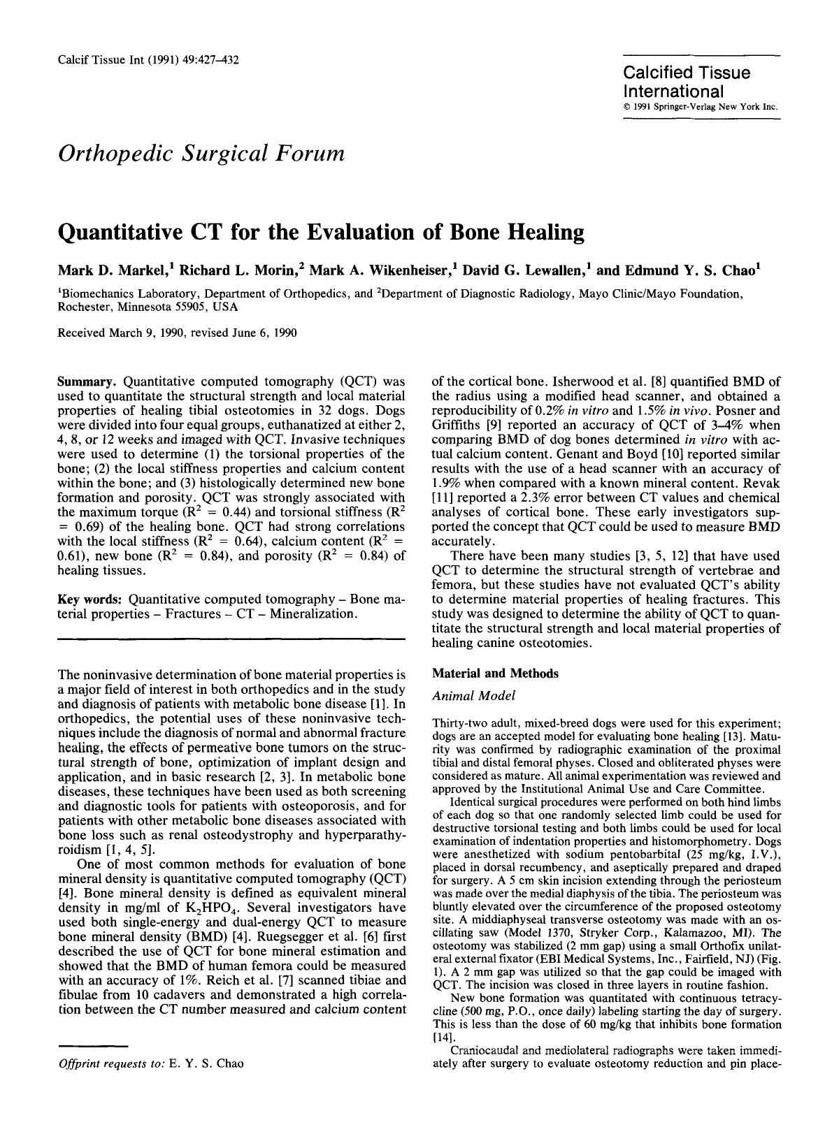Quantitative CT for the evaluation of bone healing by Unknown