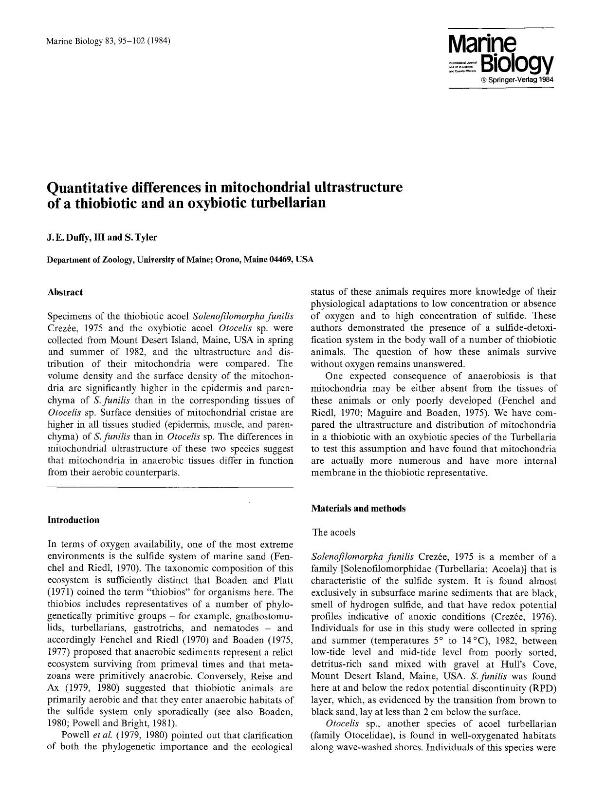 Quantitative differences in mitochondrial ultrastructure of a thiobiotic and an oxybiotic turbellarian by Unknown