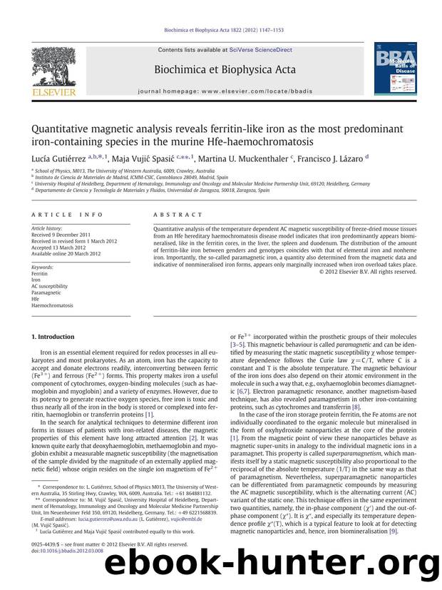 Quantitative magnetic analysis reveals ferritin-like iron as the most predominant iron-containing species in the murine Hfe-haemochromatosis by Lucía Gutiérrez & Maja Vujić Spasić & Martina U. Muckenthaler & Francisco J. Lázaro