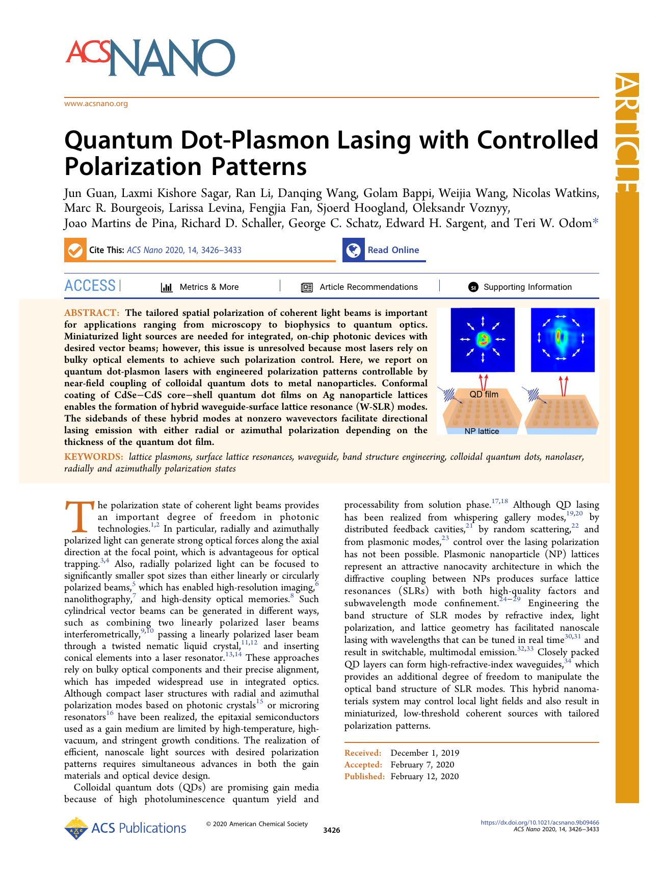 Quantum Dot-Plasmon Lasing with Controlled Polarization Patterns by unknow