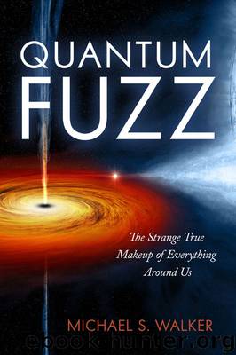 Quantum Fuzz: The Strange True Makeup of Everything Around Us by Michael S. Walker
