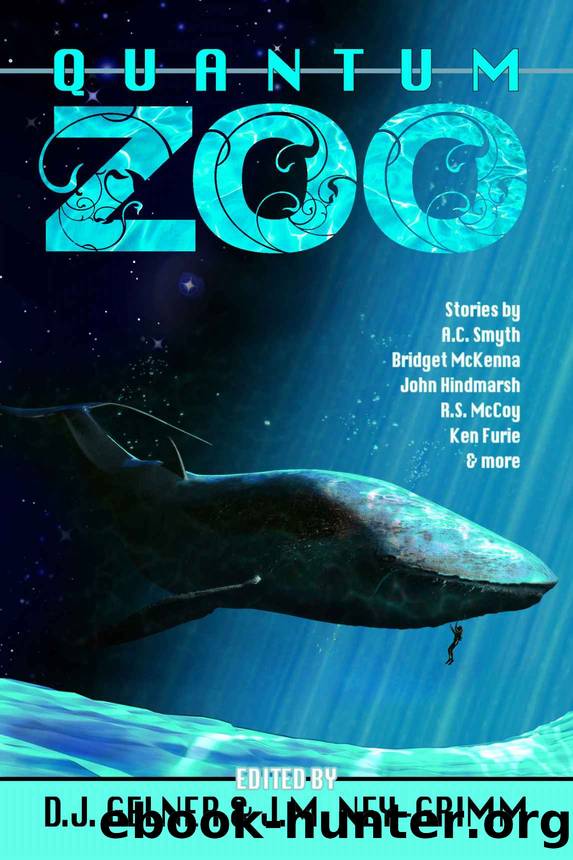 Quantum Zoo by D. J. Gelner & J. M. Ney-Grimm