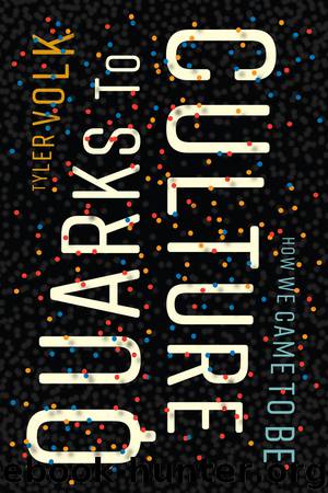 Quarks to Culture by Tyler Volk