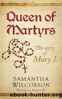 Queen of Martyrs: The Story of Mary I (Plantagenet Embers Book 3) by Samantha Wilcoxson