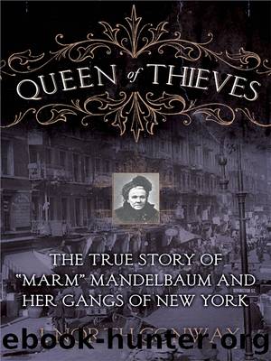 Queen of Thieves by J North Conway