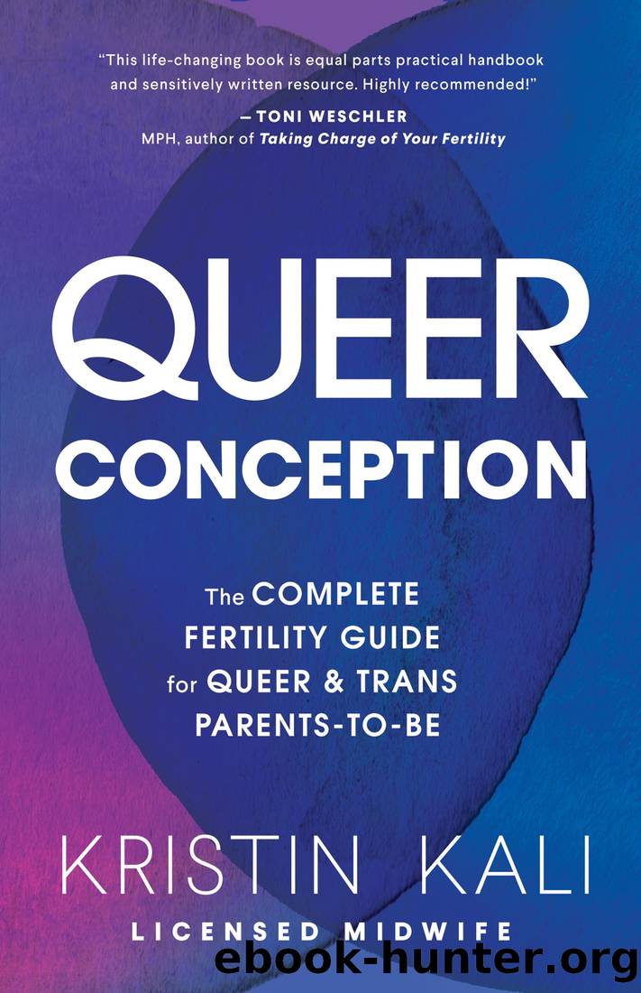 Queer Conception by Kristin Liam Kali