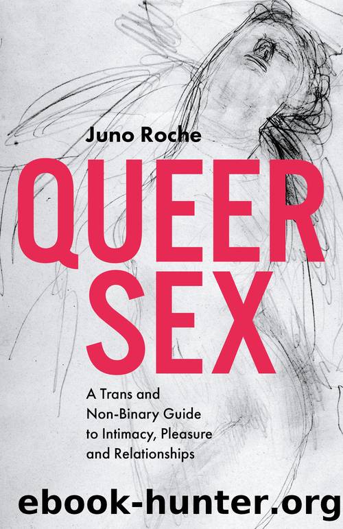 Queer Sex: A Trans and Non-Binary Guide to Intimacy, Pleasure and Relationships by Juno Roche