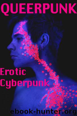 Queerpunk by Circlet Press
