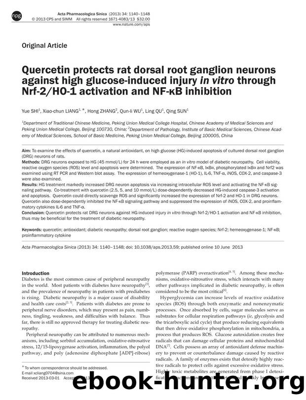 Quercetin protects rat dorsal root ganglion neurons against high glucose-induced injury in vitro through Nrf-2HO-1 activation and NF-ÎºB inhibition by Yue Shi & Xiao-chun Liang & Hong Zhang & Qun-li Wu & Ling Qu & Qing Sun