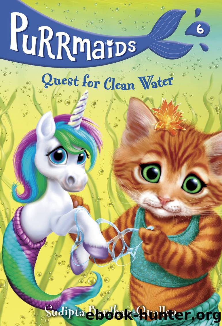 Quest for Clean Water by Sudipta Bardhan-Quallen