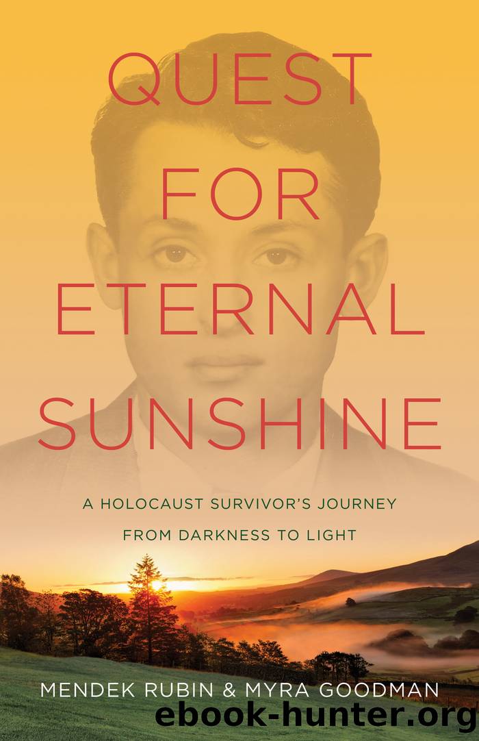 Quest for Eternal Sunshine by Mendek Rubin