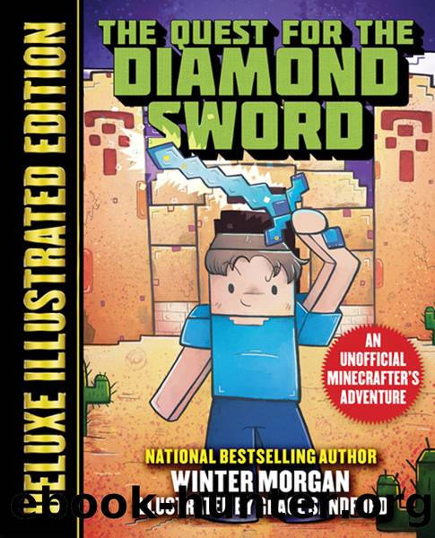 Quest for the Diamond Sword (Deluxe Illustrated Edition) by Winter Morgan