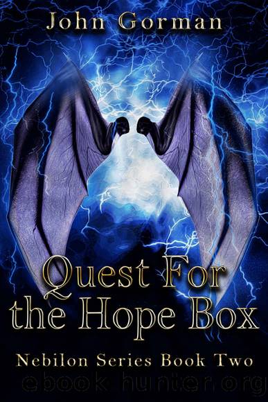 Quest for the Hope Box by John Gorman