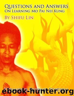Questions and Answers on Learning Mo Pai Nei Kung (Second Expanded Edition) by Shifu Lin