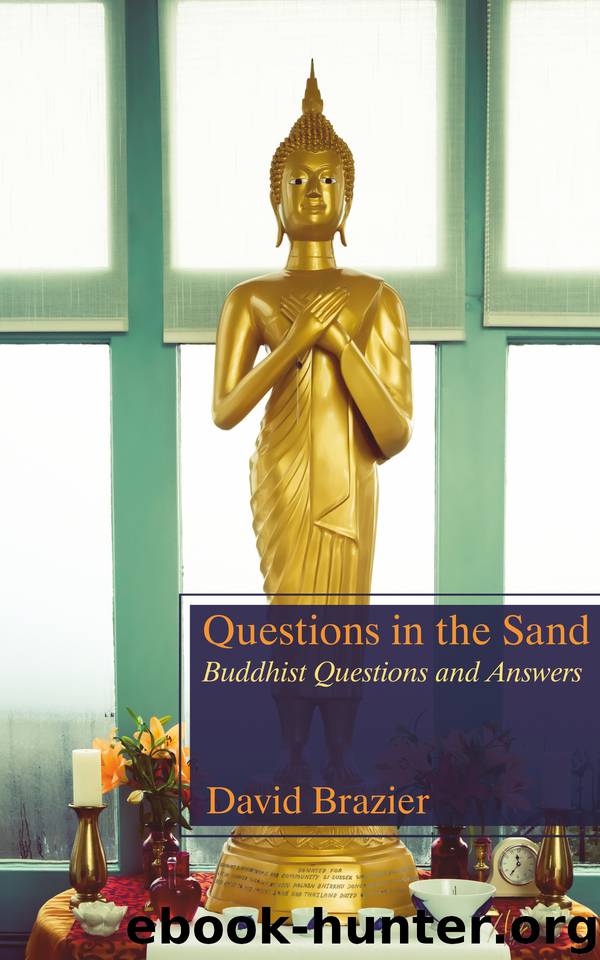 Questions in the Sand: Buddhist Questions and Answers by Brazier David