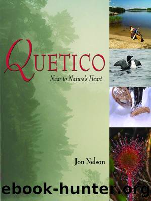 Quetico by Nelson Jon
