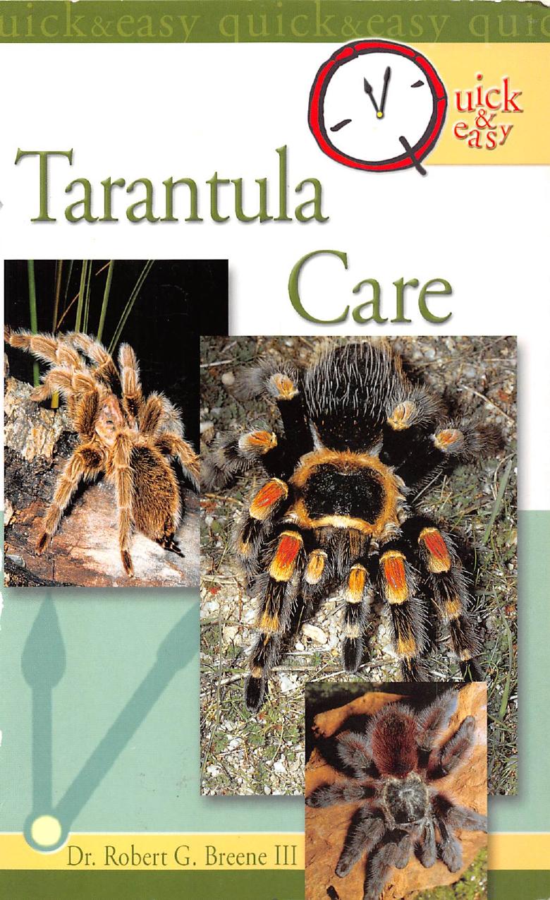 Quick & Easy Tarantula Care by Robert G. Breene