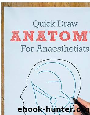 Quick Draw Anatomy for Anaesthetists by Joanna Oram Fox
