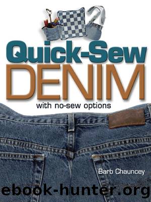 Quick Sew Denim with No Sew Options by Barb Chauncey