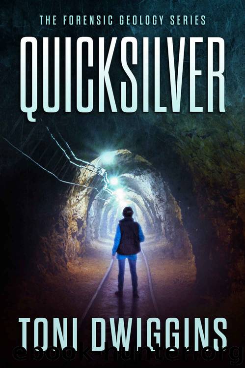 Quicksilver (reissue) by Toni Dwiggins