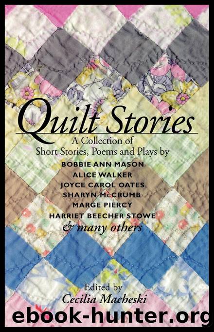 Quilt Stories by Cecilia Macheski